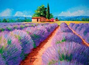 obrázok puzzlí Puzzle 500 Lavender scent