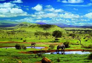 obrázok puzzlí Puzzle 500 Tsavo National Parc, Kenya