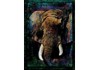 Puzzle 1000 Pane, Africký slon