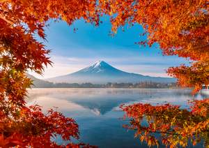 obrázok puzzlí Puzzle 1000 Autumn splendor of Mount Fuji