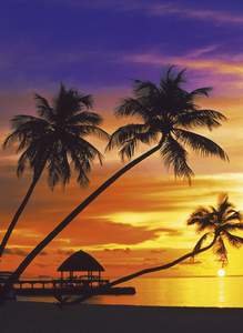obrázok puzzlí Puzzle 1500 Tropic Beach