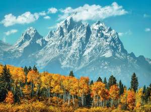 obrázok puzzlí Puzzle 500 Grand Teton in fall
