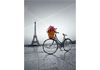 Puzzle 500 Romantic promenade in Paris