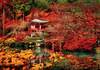 Puzzle 500 Orient Dream
