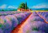 Puzzle 500 Lavender scent