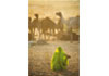 Puzzle 1000 Indian woman