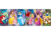 Puzzle 1000 Princess