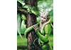Puzzle 1000 Kindred Spirits