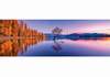Puzzle 1000 Lake Wanaka tree