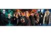 Puzzle 1000 Harry Potter