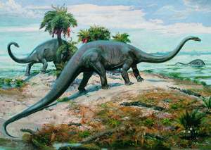 obrázok puzzlí Puzzle 1000 Diplodocus