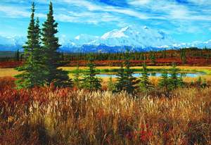 obrázok puzzlí Puzzle 1500 Denali National Park, USA