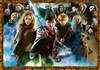 Puzzle 1000 Harry Potter