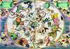 Puzzle 1500 Cellarius, Zodiac