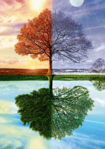 obrázok puzzlí Puzzle 500 The seasons tree