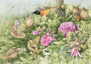 obrázok puzzlí Puzzle 1000 Feast in the Meadow