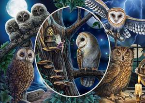 obrázok puzzlí Puzzle 1000 Mysterious owls