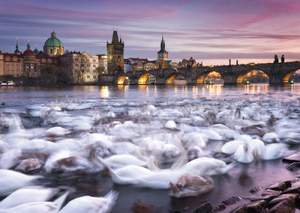 obrázok puzzlí Puzzle 1000 Prague, Swans