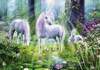 Puzzle 1000 Idyll in the Enchanted Forest