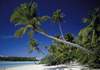 Puzzle 1000 Cook Islands