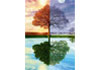 Puzzle 500 The seasons tree