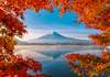 Puzzle 1000 Autumn splendor of Mount Fuji