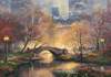 Puzzle 1000 Autumn in Central Park, Glow in the Dark