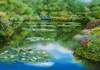 Puzzle 1000 Sam Park, Water lily pond