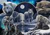 Puzzle 1000 Magnificent wolves