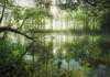 Puzzle 1000 Stefan Hefele, Homeland jungle